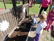 Zakládáme bylinkovou zahrádku